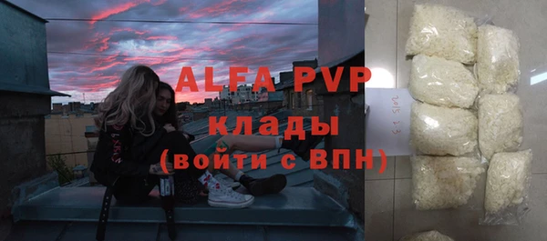 прущие грибы Волосово