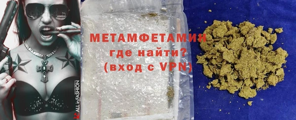 прущие грибы Волосово