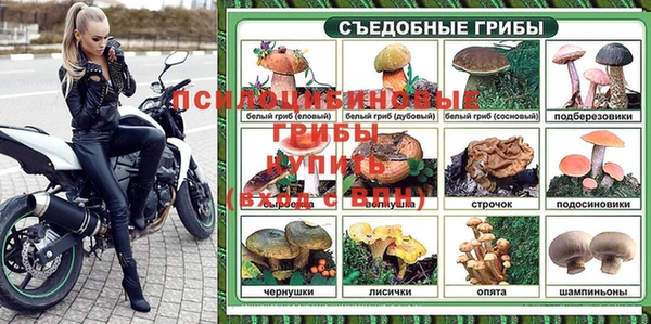 прущие грибы Волосово