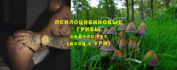 спиды Володарск