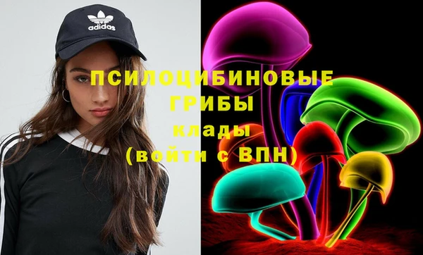 прущие грибы Волосово