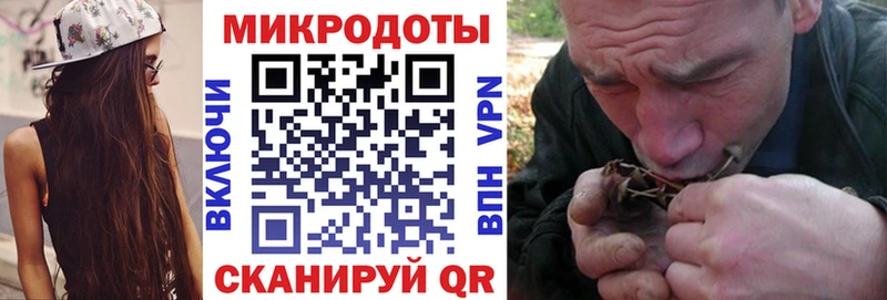 Купить где Надым Псилоцибиновые грибы мицелий