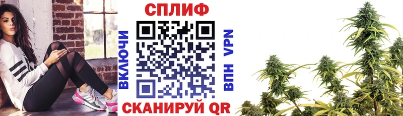 Шишки марихуана OG Kush  Купить где  Надым 
